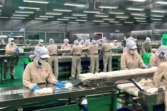 39% doanh nghiệp TP.HCM giảm lợi nhuận trong tháng 2