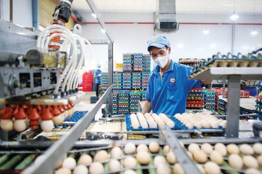 TP.HCM phải ổn định môi trường kinh doanh và khởi nghiệp TP.HCM phải ổn định môi trường kinh doanh và khởi nghiệp