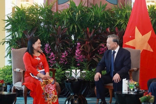 Tổng Bí thư Tô Lâm và doanh nghiệp Singapore thảo luận đầu tư, phát triển y tế Việt Nam