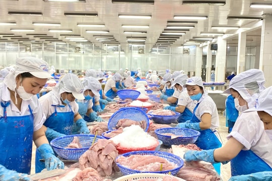 Việt Nam là thị trường cung cấp thủy sản lớn thứ 2 cho thị trường Brazil