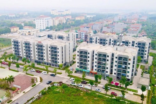 Đề xuất thí điểm cơ chế chỉ định chủ đầu tư nhà ở xã hội