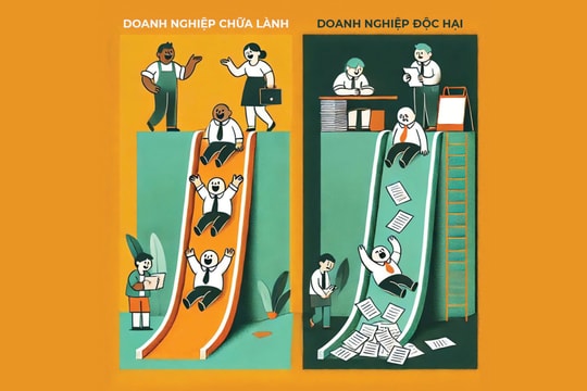 Lãnh đạo chữa lành: Một yếu tố giúp doanh nghiệp phát triển bền vững Lãnh đạo chữa lành: Một yếu tố giúp doanh nghiệp phát triển bền vững