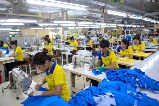 Kinh tế tư nhân: Trụ cột cho phát triển bền vững Kinh tế tư nhân: Trụ cột cho phát triển bền vững
