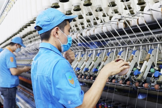 Đề xuất giảm 2% thuế VAT đến hết 2026, mở rộng với than, xăng dầu