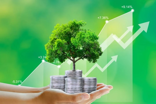 Phân loại 8 nhóm dự án đầu tư xanh Phân loại 8 nhóm dự án đầu tư xanh