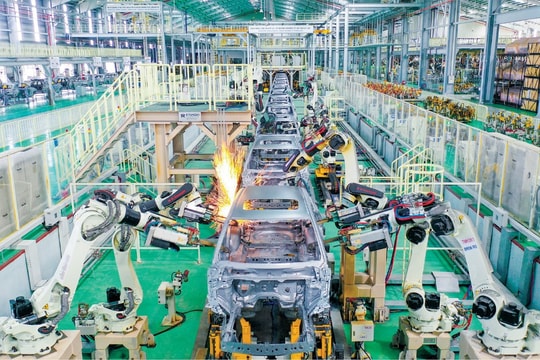 Chuyển mình để trường tồn: Quản trị doanh nghiệp trong thời biến động