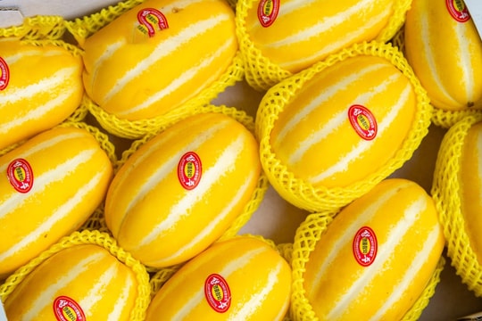 Hàn Quốc lần đầu tiên xuất khẩu chính ngạch dưa hoàng kim và dưa lưới sang Việt Nam