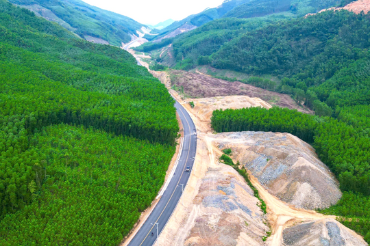 Đề xuất bổ sung quy định tạm sử dụng rừng để thi công đường sắt tốc độ cao