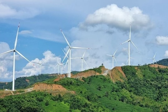 Quảng Trị đốc thúc, xem xét dừng nhiều dự án điện gió ngàn tỷ chậm tiến độ Quảng Trị đốc thúc, xem xét dừng nhiều dự án điện gió ngàn tỷ chậm tiến độ