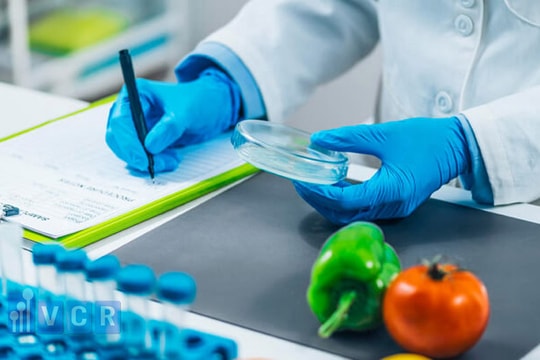 Bộ Y tế làm rõ quy định kiểm tra Nhà nước đối với thực phẩm nhập khẩu Bộ Y tế làm rõ quy định kiểm tra Nhà nước đối với thực phẩm nhập khẩu