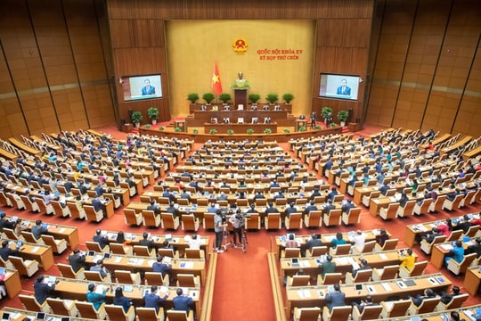 Quốc hội xem xét tăng mức phạt trong các lĩnh vực trọng yếu