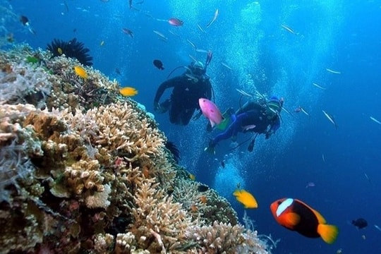 Nha Trang góp mặt trong Top điểm đến "du lịch chậm" hàng đầu châu Á