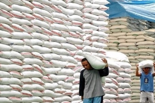 Senegal - Nền kinh tế tăng trưởng cao nhất châu Phi mong muốn tăng cường hợp tác với Việt Nam