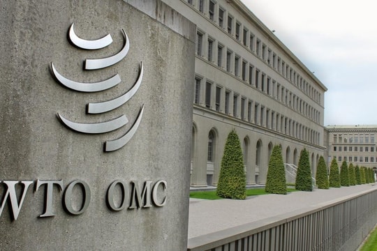 Bản tin trưa 28/5: Việt Nam tăng cường hợp tác pháp lý với WTO về thương mại quốc tế Bản tin trưa 28/5: Việt Nam tăng cường hợp tác pháp lý với WTO về thương mại quốc tế