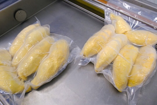 Lô sầu riêng đông lạnh đầu tiên của Việt Nam được xuất khẩu sang Trung Quốc Lô sầu riêng đông lạnh đầu tiên của Việt Nam được xuất khẩu sang Trung Quốc