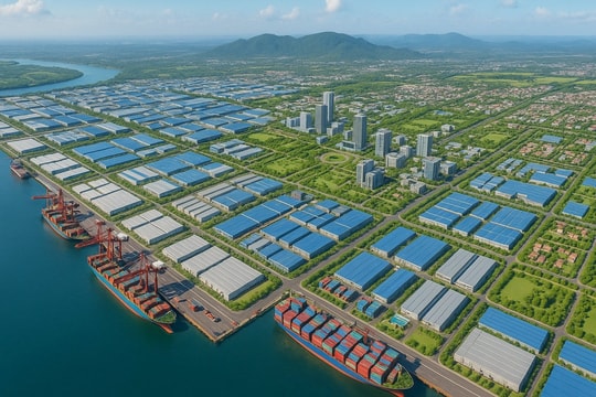 Việt Nam sắp có Khu thương mại tự do quy mô hơn 3.700ha gắn với cảng biển tại Bà Rịa - Vũng Tàu Việt Nam sắp có Khu thương mại tự do quy mô hơn 3.700ha gắn với cảng biển tại Bà Rịa - Vũng Tàu