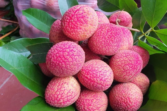 Phiên chợ vải Hưng Yên 2025 sắp diễn ra tại Ecopark Phiên chợ vải Hưng Yên 2025 sắp diễn ra tại Ecopark