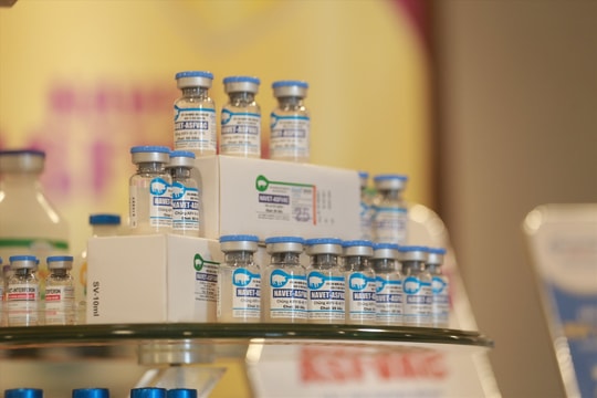 Xuất khẩu thêm 340.000 liều vaccine dịch tả lợn châu Phi sang Philippines Xuất khẩu thêm 340.000 liều vaccine dịch tả lợn châu Phi sang Philippines