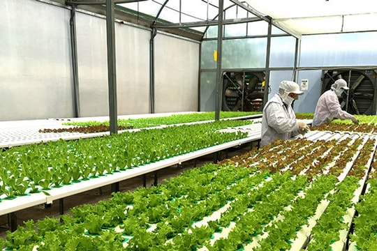 TP.HCM phát động cuộc thi khởi nghiệp đổi mới sáng tạo trong lĩnh vực nông nghiệp ứng dụng công nghệ cao năm 2025 TP.HCM phát động cuộc thi khởi nghiệp đổi mới sáng tạo trong lĩnh vực nông nghiệp ứng dụng công nghệ cao năm 2025