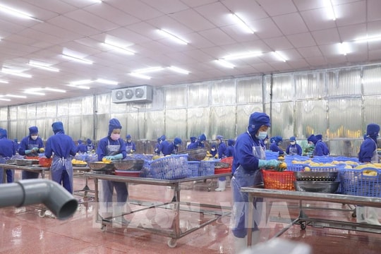 Đề xuất miễn, giảm thuế thu nhập doanh nghiệp để thúc đẩy khởi nghiệp và phát triển kinh tế tư nhân Đề xuất miễn, giảm thuế thu nhập doanh nghiệp để thúc đẩy khởi nghiệp và phát triển kinh tế tư nhân