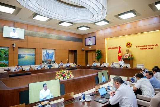 Ủy ban Thường vụ Quốc hội cho ý kiến về sửa đổi Luật Quy hoạch Ủy ban Thường vụ Quốc hội cho ý kiến về sửa đổi Luật Quy hoạch