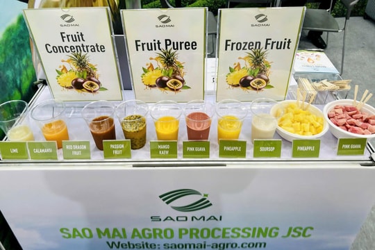 Công ty cổ phần chế biến nông sản sao mai khẳng định vị thế nông sản Việt tại THAIFEX 2025 Công ty cổ phần chế biến nông sản sao mai khẳng định vị thế nông sản Việt tại THAIFEX 2025