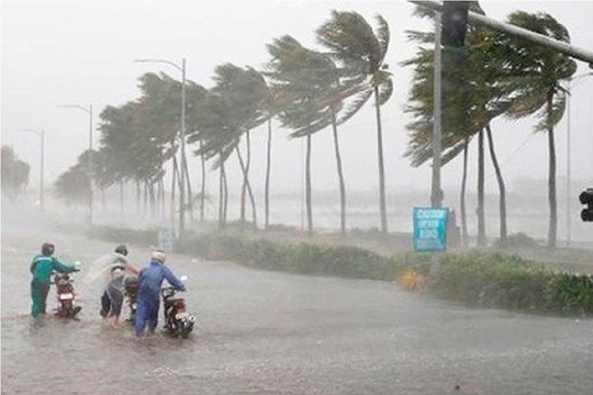 Bộ Xây dựng chỉ đạo khẩn bảo đảm an toàn cho người và phương tiện giao thông trước bão số 1