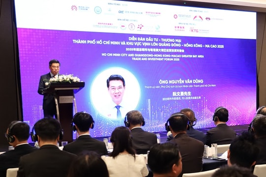 TP.HCM đẩy mạnh kết nối đầu tư - thương mại với Vùng Vịnh lớn Trung Quốc