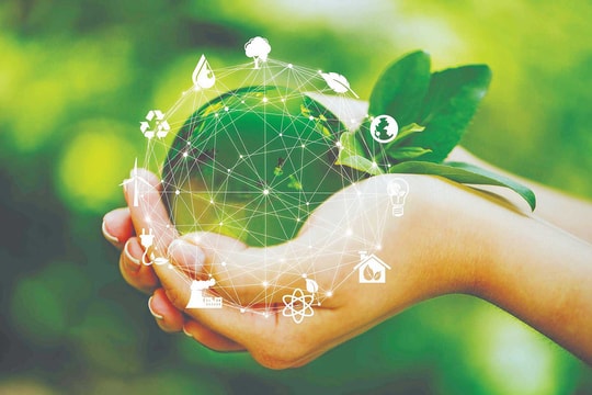 Cuộc đua logistics xanh: Cơ hội cuối cho doanh nghiệp Việt?