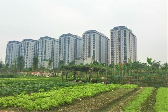Thu thuế từ nhà, đất tăng 105% trong 5 tháng đầu năm 2025 Thu thuế từ nhà, đất tăng 105% trong 5 tháng đầu năm 2025