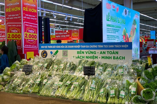 TP.HCM sẽ có "tick xanh trách nhiệm" trong lĩnh vực thương mại điện tử