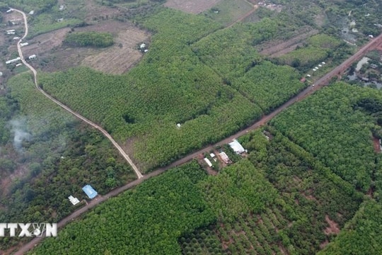 Chính phủ chấp thuận cho Đồng Nai điều chỉnh quy hoạch để triển khai dự án cầu Mã Đà nối liền Bình Phước