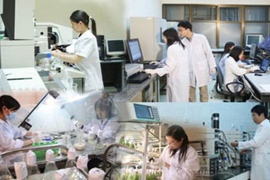 UBND cấp tỉnh sẽ cấp Giấy chứng nhận doanh nghiệp công nghệ cao trong 5 ngày làm việc