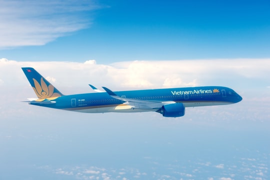 Vietnam Airlines lên kế hoạch thành lập hãng hàng không vận tải hàng hóa Vietnam Airlines lên kế hoạch thành lập hãng hàng không vận tải hàng hóa