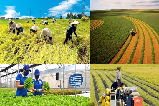 Khởi động Tổng điều tra nông thôn, nông nghiệp toàn quốc năm 2025 Khởi động Tổng điều tra nông thôn, nông nghiệp toàn quốc năm 2025
