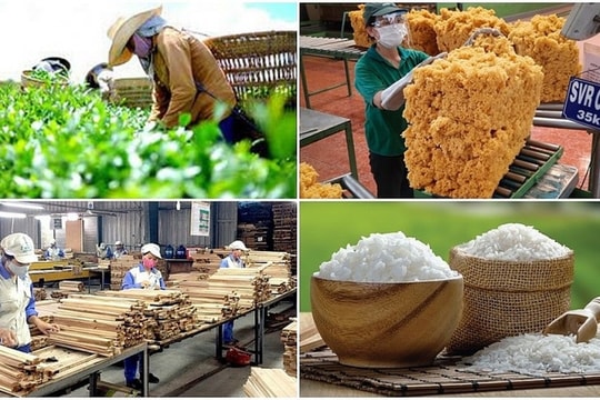 Xuất khẩu nông, lâm, thủy sản 6 tháng đầu năm 2025 tăng mạnh 15,5%, cà phê lập kỷ lục