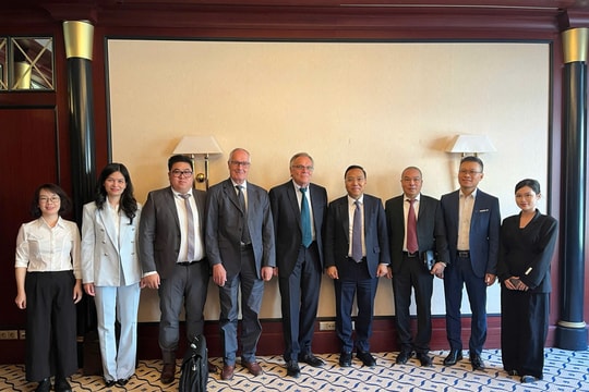 Thứ trưởng Nguyễn Hoàng Long làm việc với một số tập đoàn năng lượng tại Đức