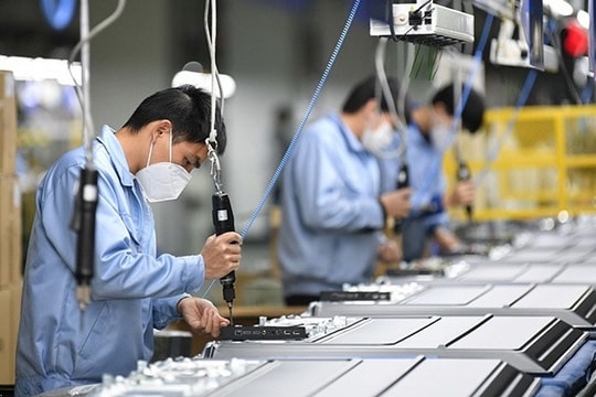 Tỷ lệ thất nghiệp tăng nhẹ trong quý II/2025, thị trường lao động đối mặt nhiều thách thức