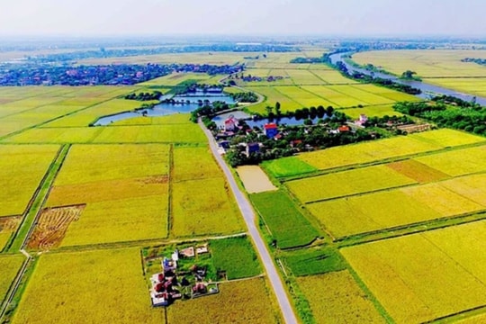 Bộ Tài chính đề xuất chính sách ưu đãi lớn về chuyển đổi mục đích sử dụng đất Bộ Tài chính đề xuất chính sách ưu đãi lớn về chuyển đổi mục đích sử dụng đất