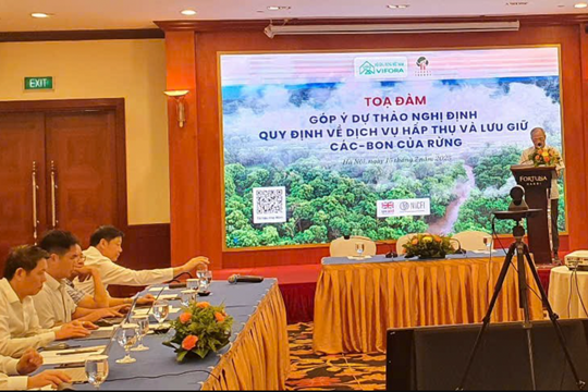 Nghị định về tín chỉ carbon rừng: Thúc đẩy thị trường carbon nội địa Nghị định về tín chỉ carbon rừng: Thúc đẩy thị trường carbon nội địa