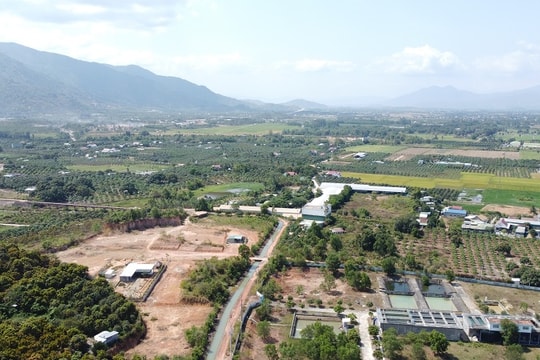 Khánh Hòa thành lập Ban Chỉ đạo tháo gỡ vướng mắc trong công tác giải phóng mặt bằng các dự án trọng điểm Khánh Hòa thành lập Ban Chỉ đạo tháo gỡ vướng mắc trong công tác giải phóng mặt bằng các dự án trọng điểm