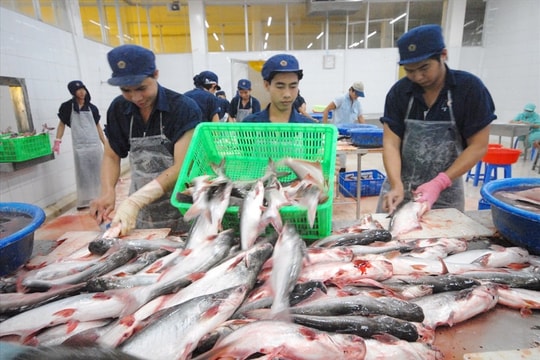 Trung Quốc vượt Mỹ, dẫn đầu nhập khẩu thủy sản Việt Nam Trung Quốc vượt Mỹ, dẫn đầu nhập khẩu thủy sản Việt Nam