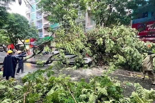 TP.HCM chủ động ứng phó sự cố môi trường trong mùa mưa bão