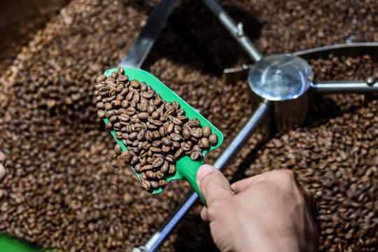 Giá cà phê giữ đà ổn định, thị trường chờ động lực mới từ chính sách thuế Mỹ Giá cà phê giữ đà ổn định, thị trường chờ động lực mới từ chính sách thuế Mỹ
