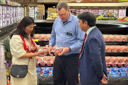 Vải thiều Việt Nam lần đầu tiên lên kệ chuỗi siêu thị lớn nhất nước Mỹ Vải thiều Việt Nam lần đầu tiên lên kệ chuỗi siêu thị lớn nhất nước Mỹ
