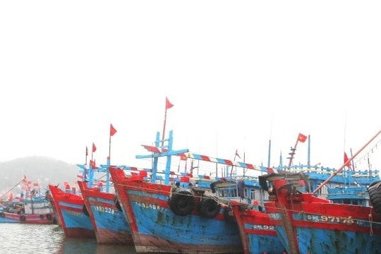 Hà Tĩnh ban hành lệnh cấm tàu thuyền ra khơi từ 12 giờ trưa nay để ứng phó bão số 3 Hà Tĩnh ban hành lệnh cấm tàu thuyền ra khơi từ 12 giờ trưa nay để ứng phó bão số 3