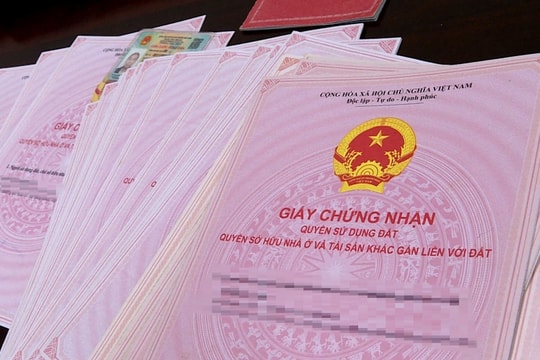 Sở Nông nghiệp và Môi trường TP.HCM thông báo địa điểm tiếp nhận phôi giấy chứng nhận quyền sử dụng đất Sở Nông nghiệp và Môi trường TP.HCM thông báo địa điểm tiếp nhận phôi giấy chứng nhận quyền sử dụng đất