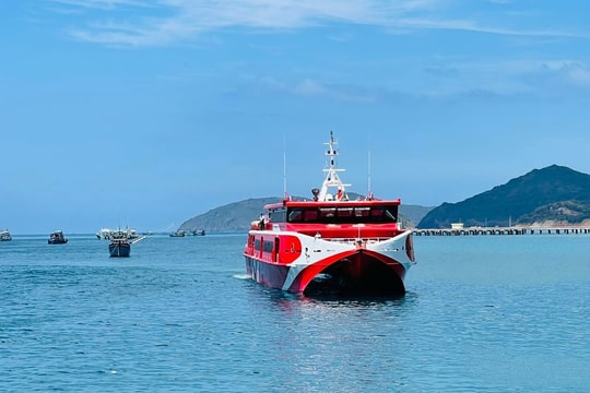 TP.HCM tăng cường kiểm tra an toàn buýt sông, tàu cao tốc nhằm ứng phó bão số 3 TP.HCM tăng cường kiểm tra an toàn buýt sông, tàu cao tốc nhằm ứng phó bão số 3