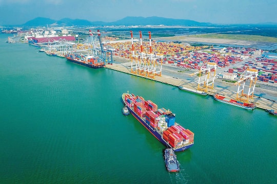 TP.HCM: Vườn ươm tạo "đại bàng" Việt Nam TP.HCM: Vườn ươm tạo "đại bàng" Việt Nam