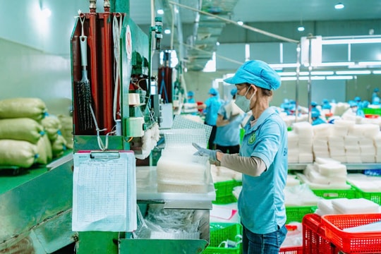 Liên kết tam giác xuất khẩu: Hướng đi chiến lược cho TP.HCM mới Liên kết tam giác xuất khẩu: Hướng đi chiến lược cho TP.HCM mới